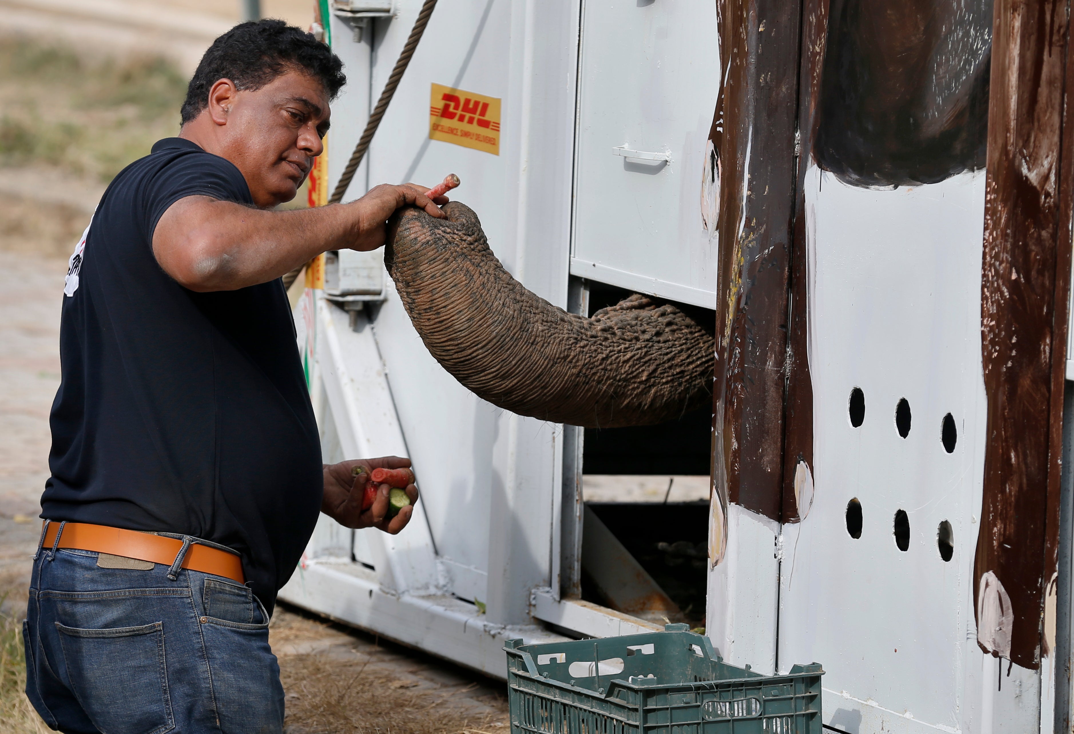 Pakistan Loneliest Elephant