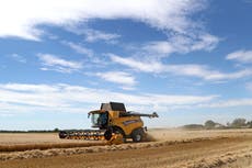 Minister claims no-deal Brexit offers ‘new opportunities’ for farmers