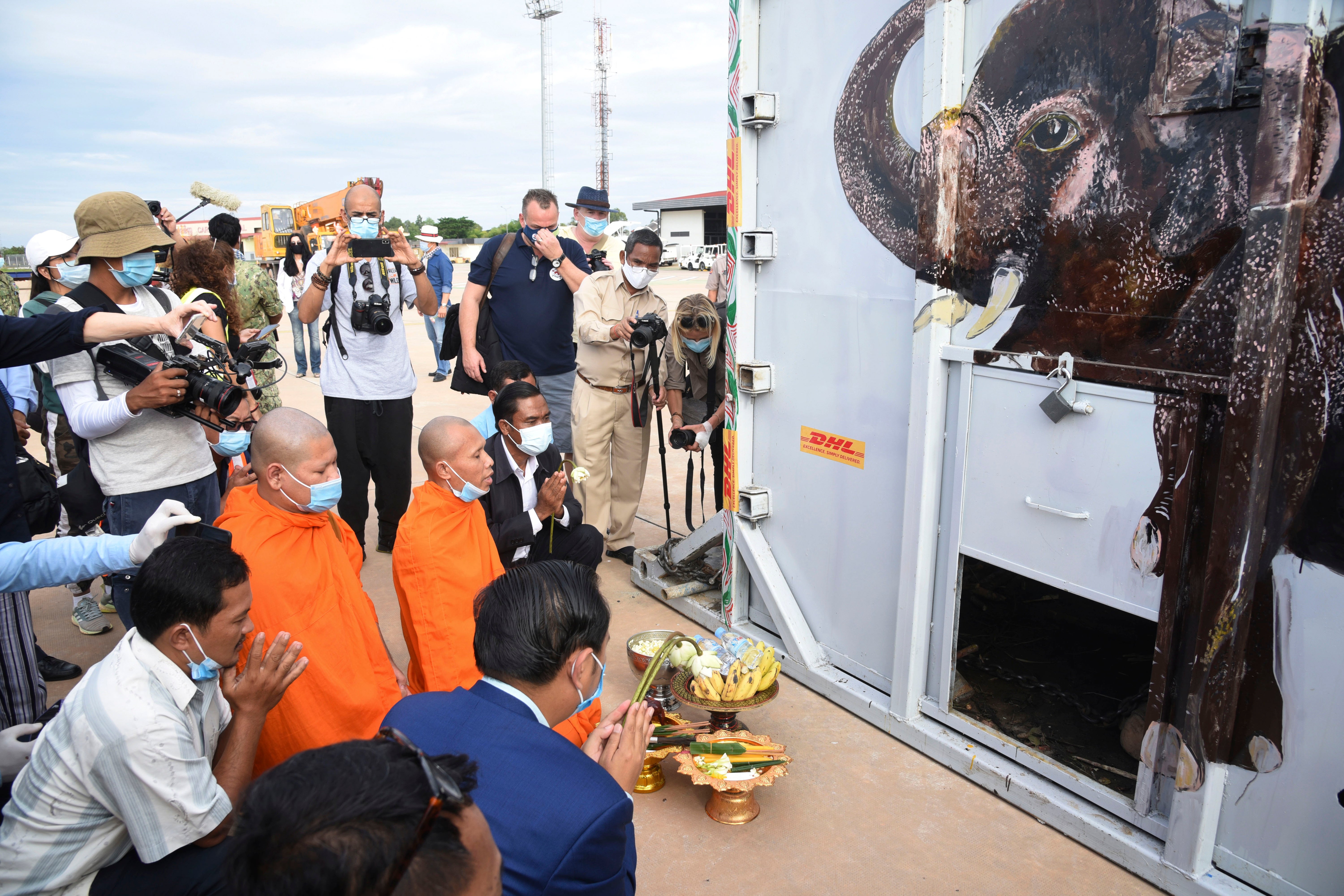 Cambodia Loneliest Elephant