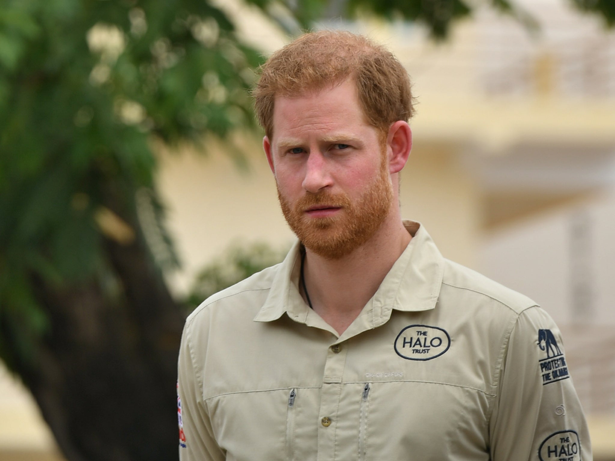 Prince Harry in Angola