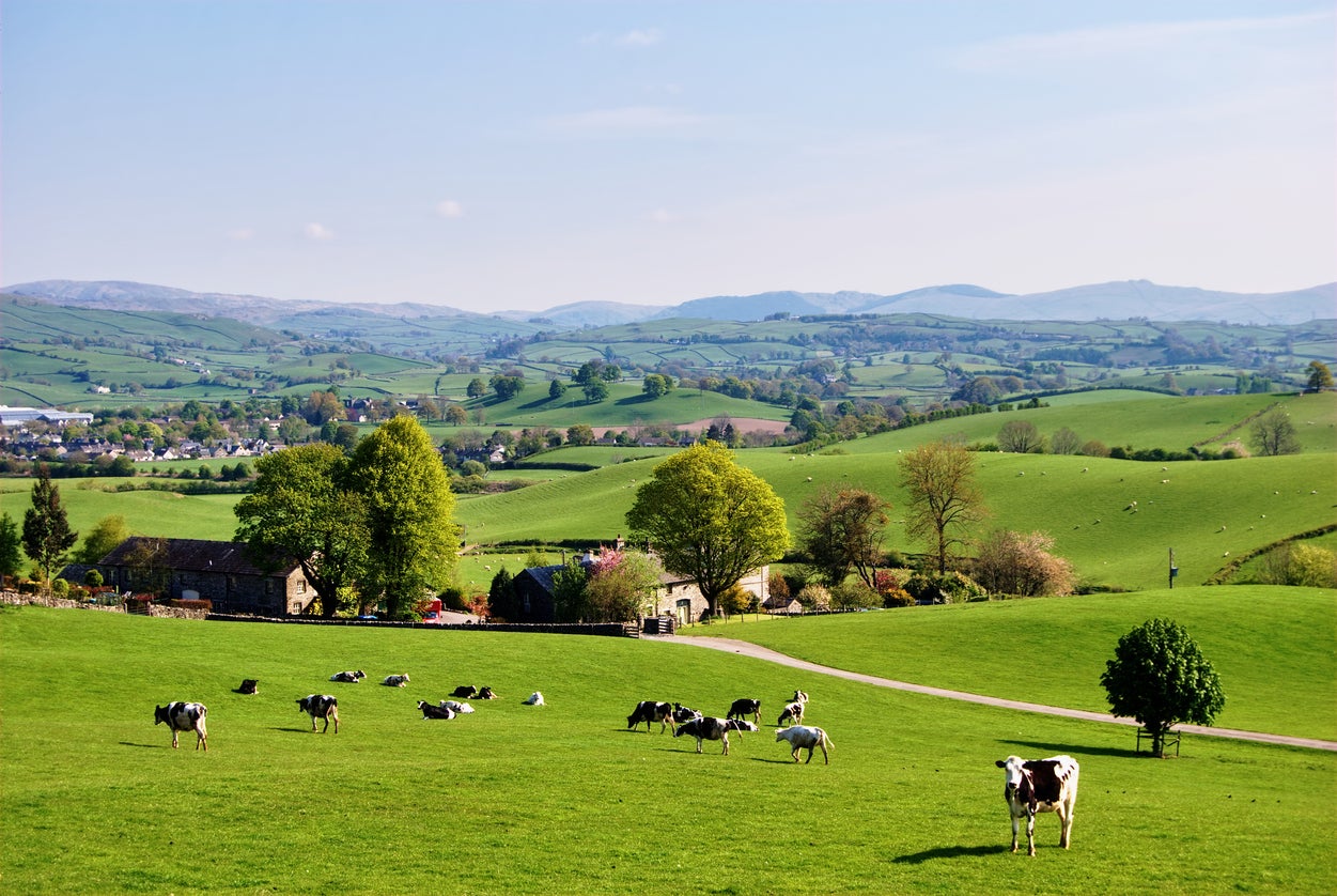 Farming at scale is rather less rosy in reality than in those polished ‘Countryfile’ stories we see on a Sunday evening