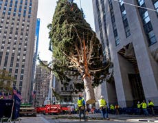 Rockefeller Center Christmas Tree turns on, with virus rules