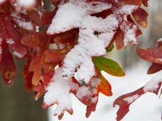 Central US hit by winter storm