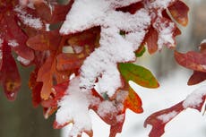 Central US hit by winter storm