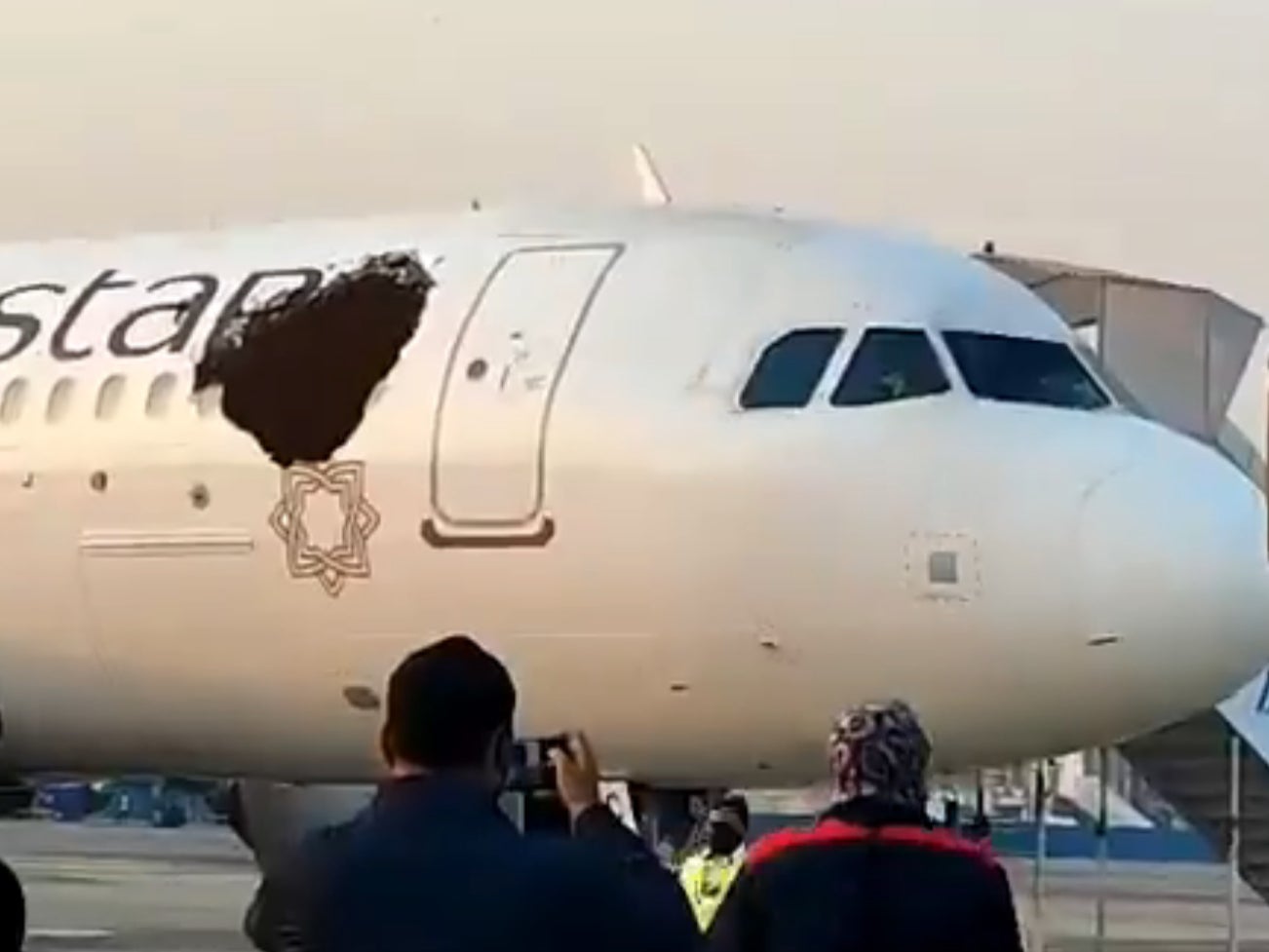 Bees surrounded a Vistara jet