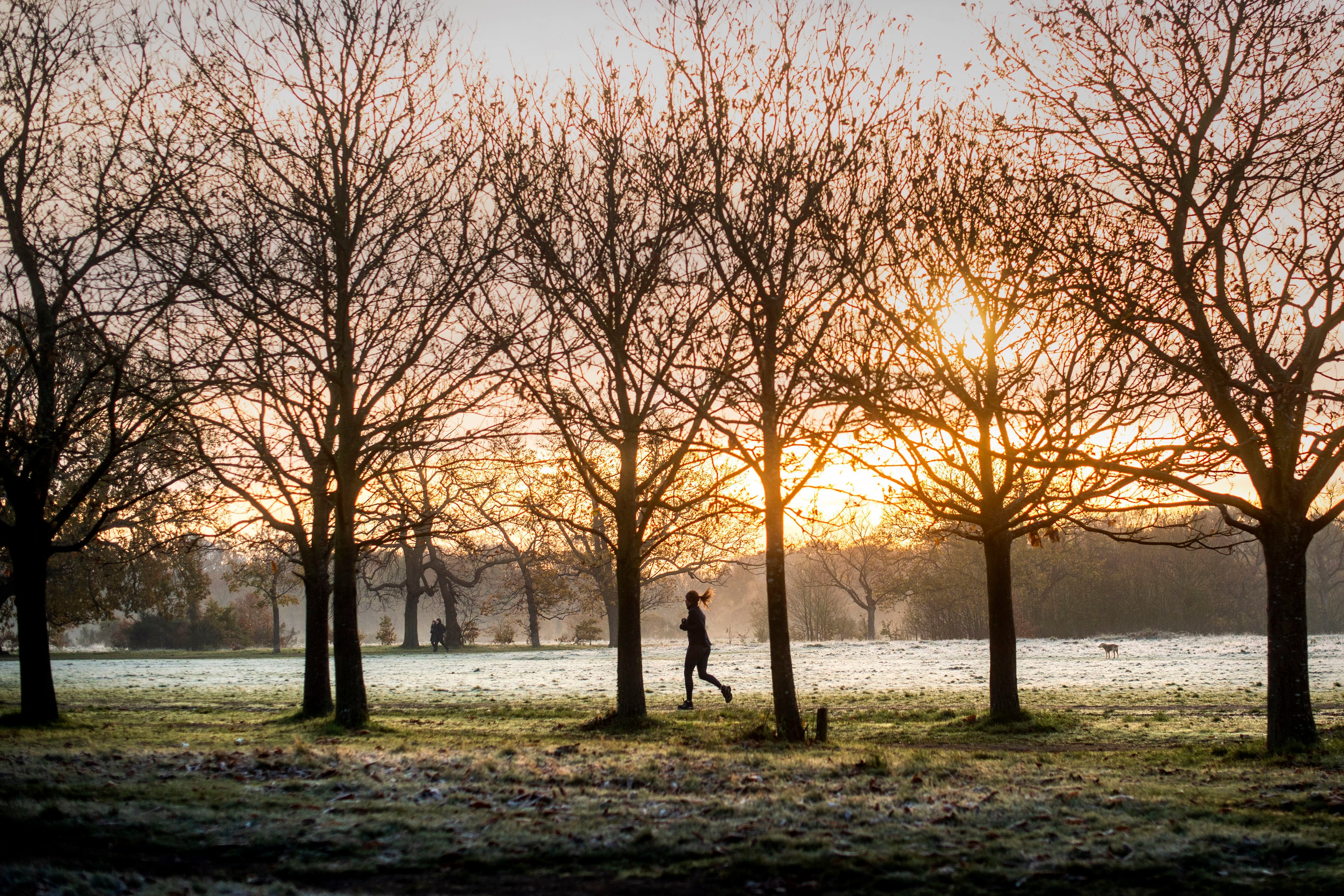 Bright sunny spells are forecast for Saturday across the UK