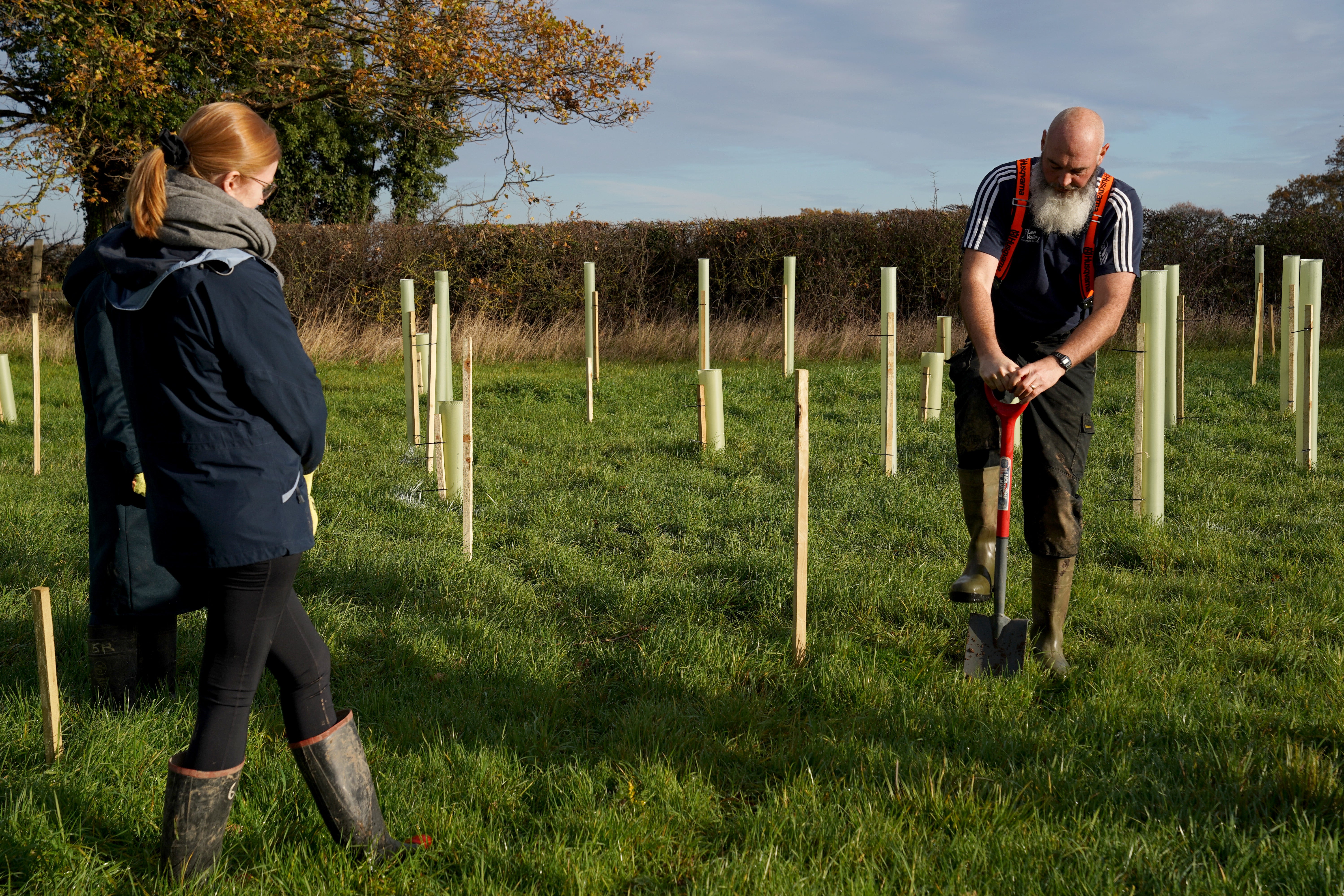 It’s hoped that the trees will eventually store 100,000 tonnes of carbon – equivalent to more than 45,000 transatlantic flights