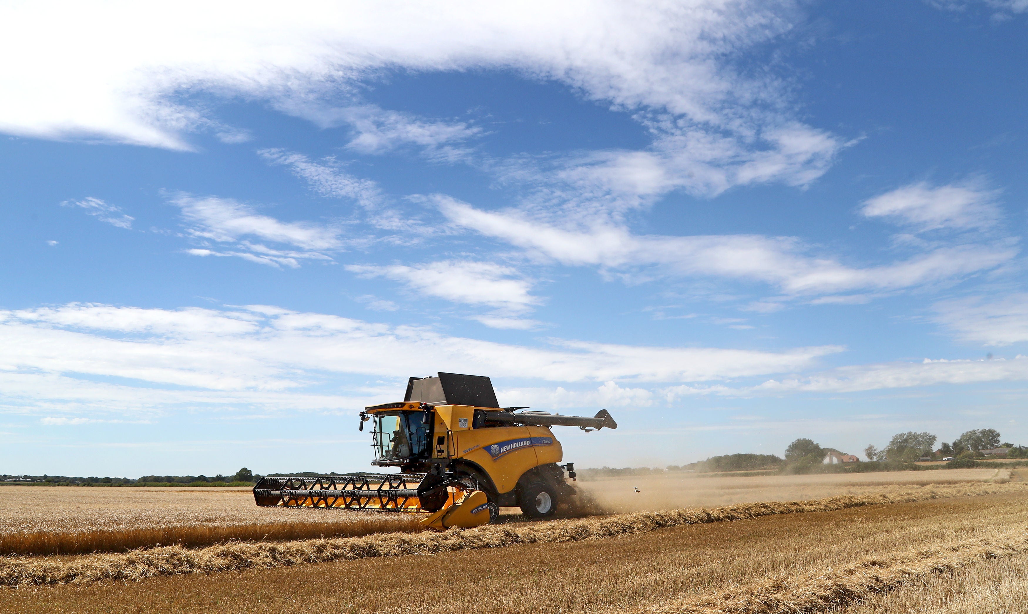 Britons estimated to have constituted between five per cent to 11 per cent of the 70,000 picking and packing needed during last year’s harvest season