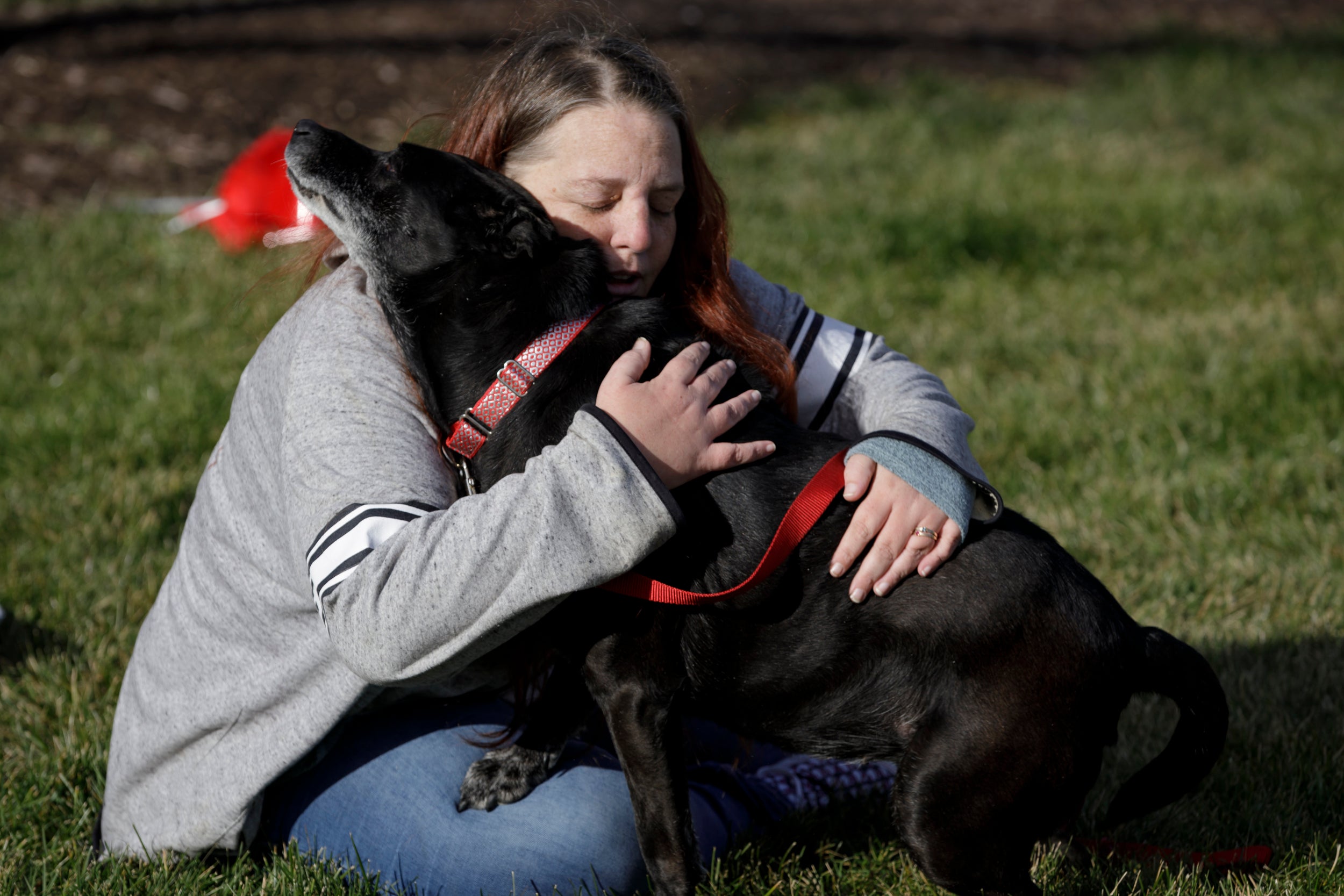 Dog Found Three Years