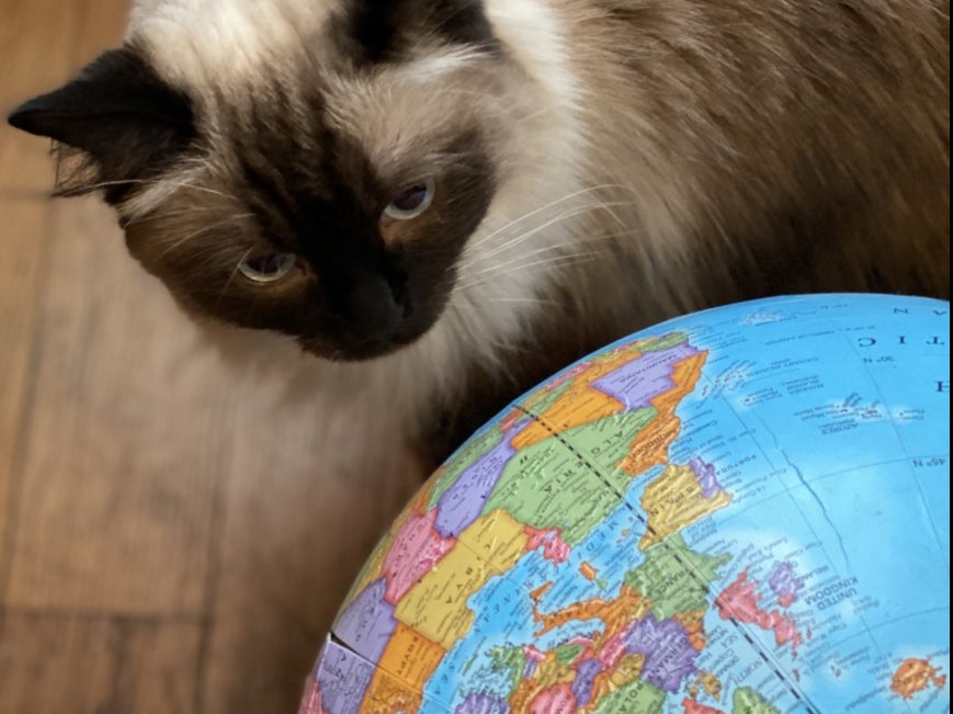 Distant dreams: Alaska, who lives in south London