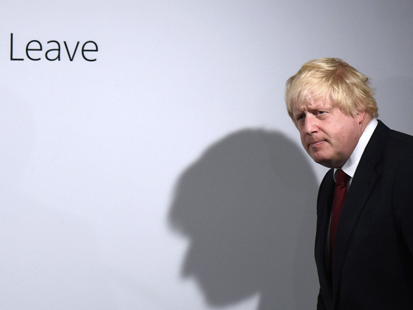 ‘I fear for my country’ under ‘English nationalist’ PM, says Tory peer