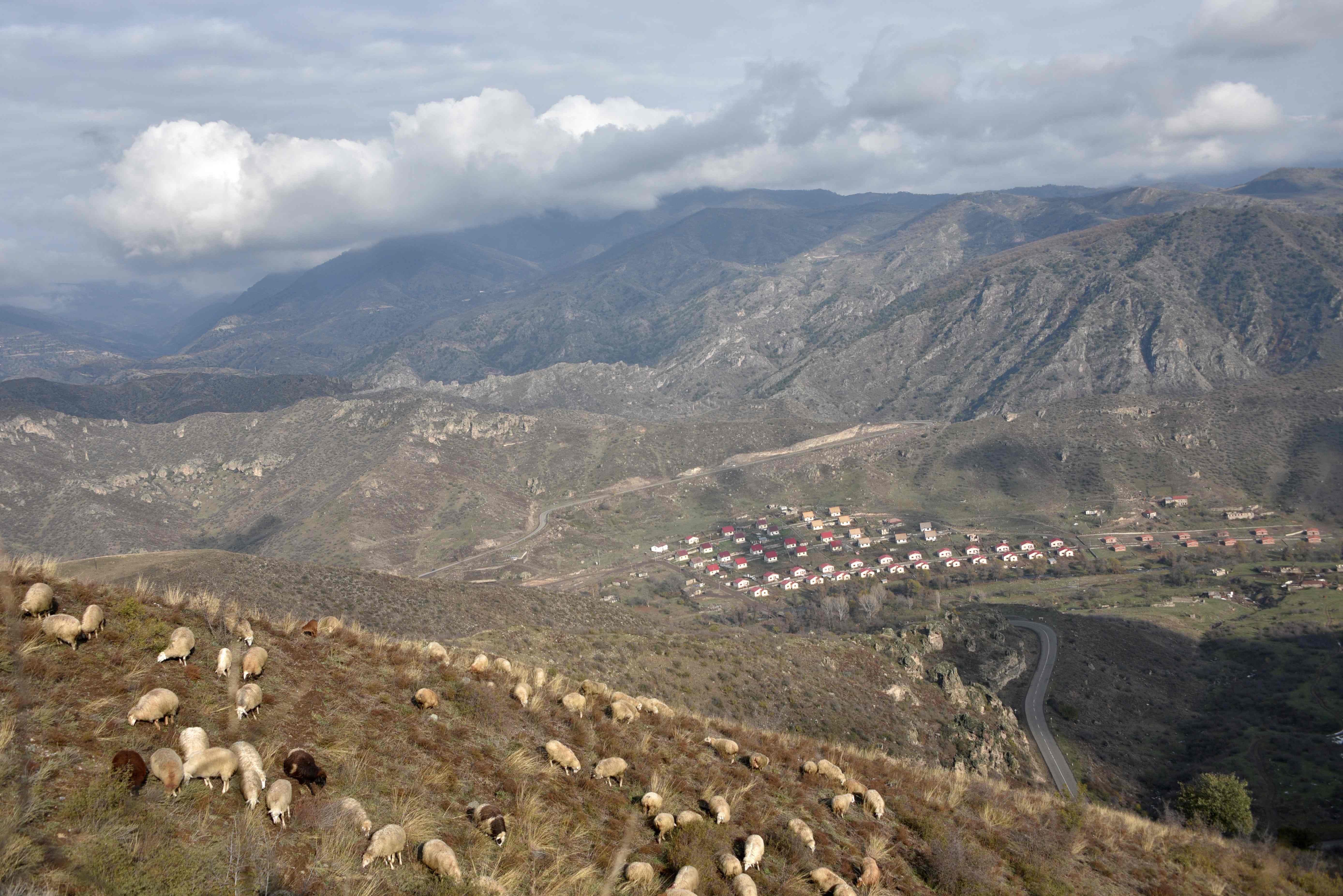 Sheep graze on the outskirts of the village of Aghavno in the Lachin district of Nagorno-Karabakh