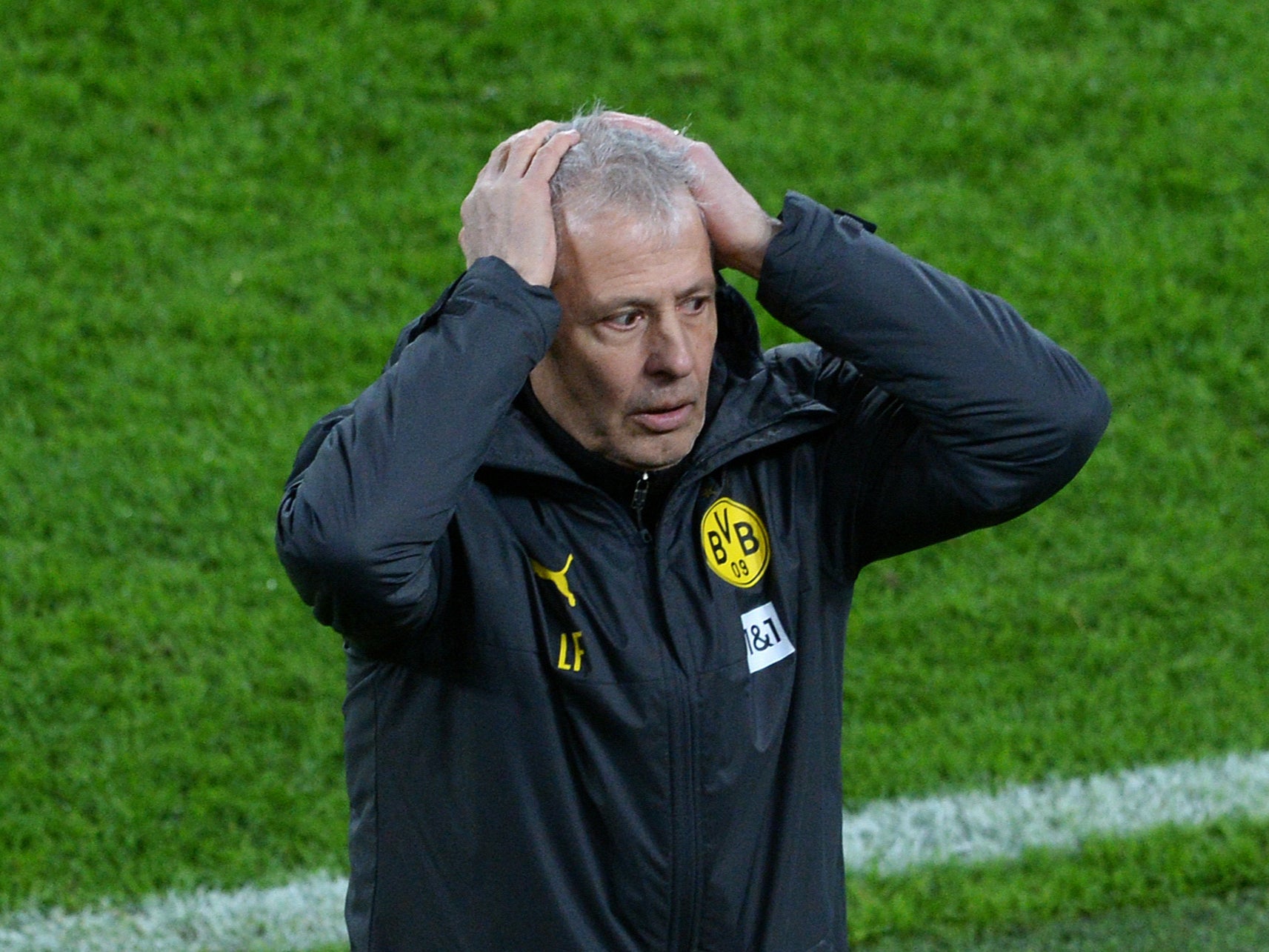 Lucien Favre has been dismissed by Borussia Dortmund