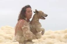 Dog rescued from sea foam as storms batter Australia’s east coast