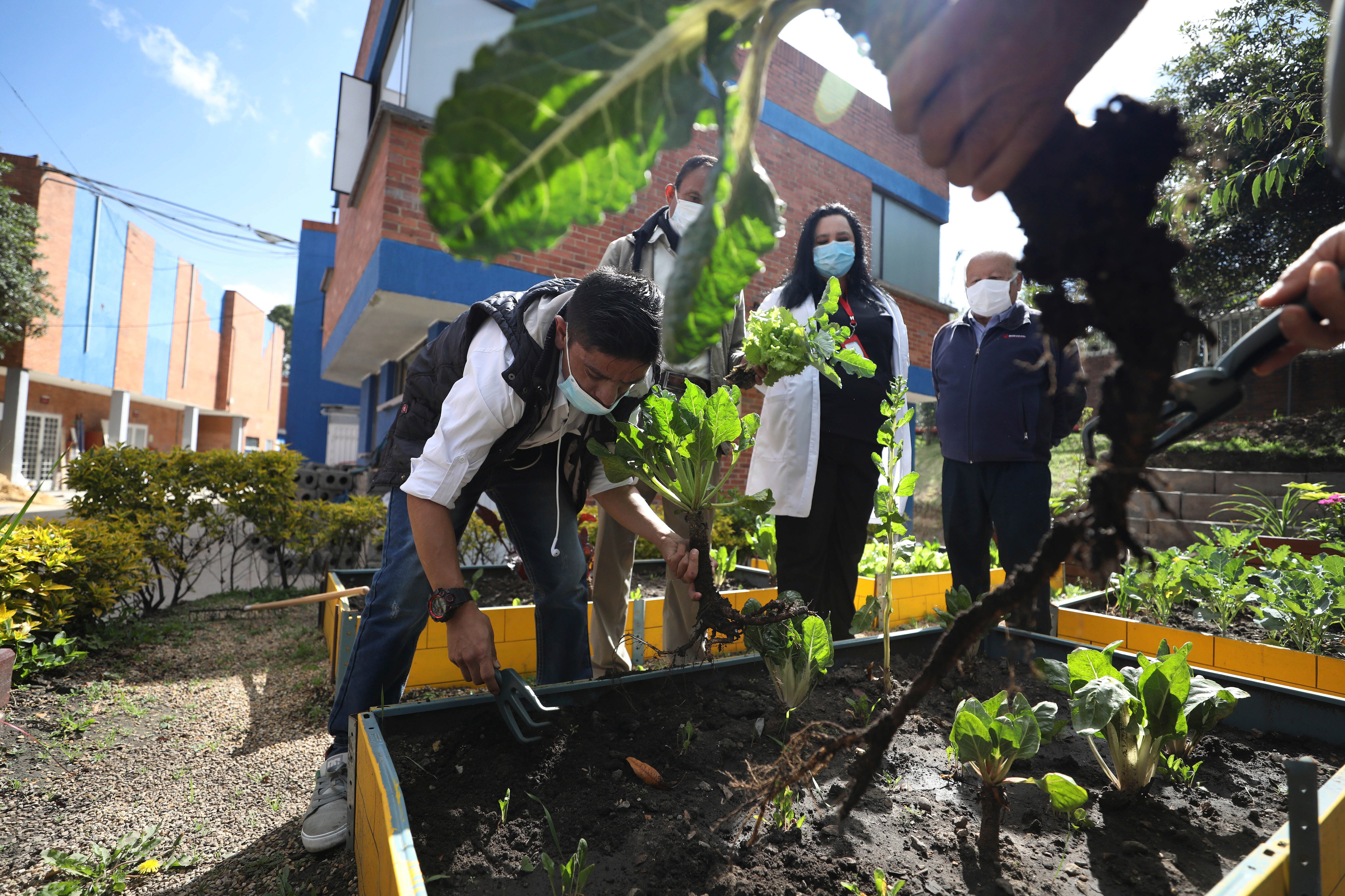 Colombia Agro Therapy