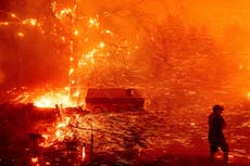 Wildfires and Attenborough: The biggest climate crisis moments of 2020