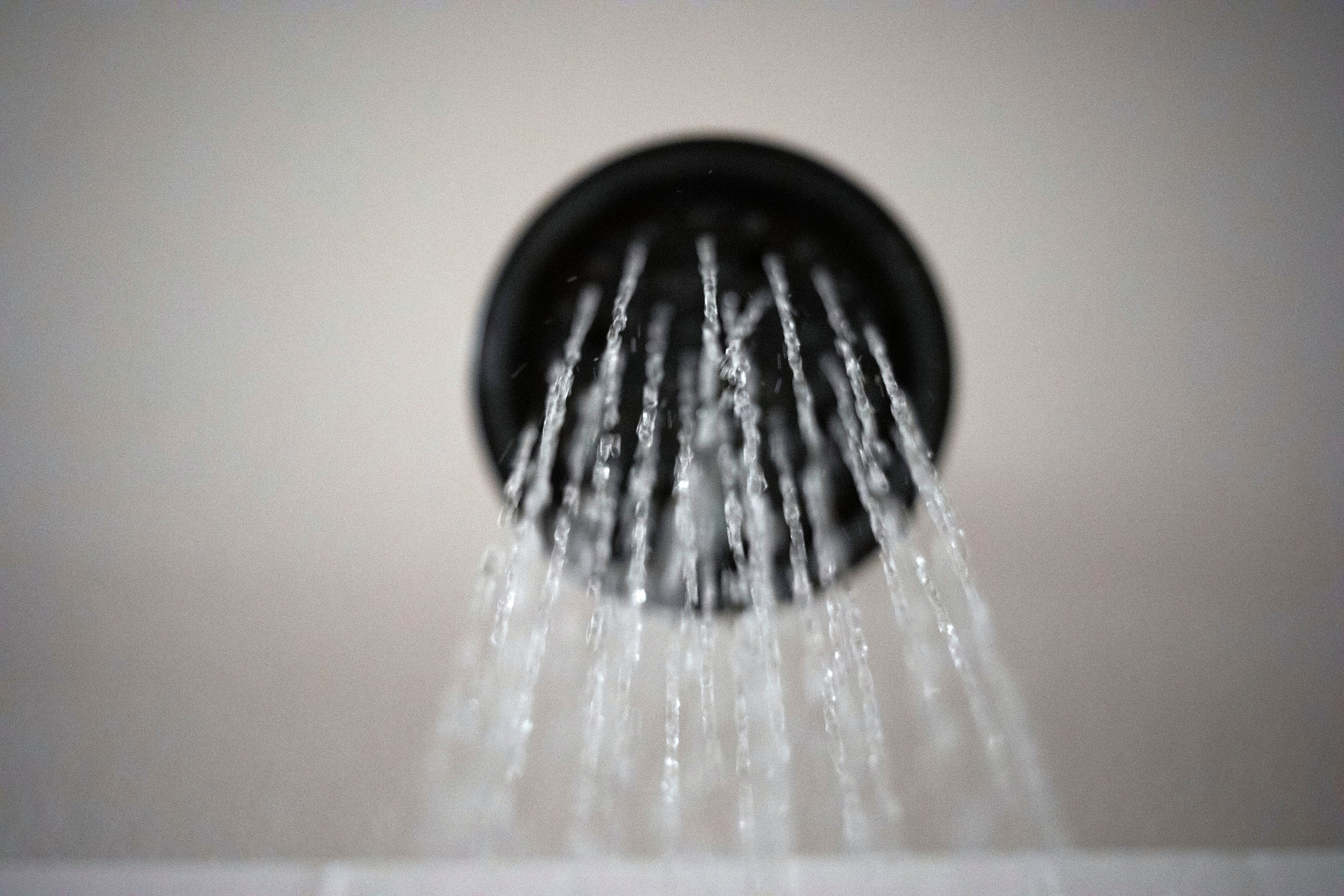 Trump Showerheads