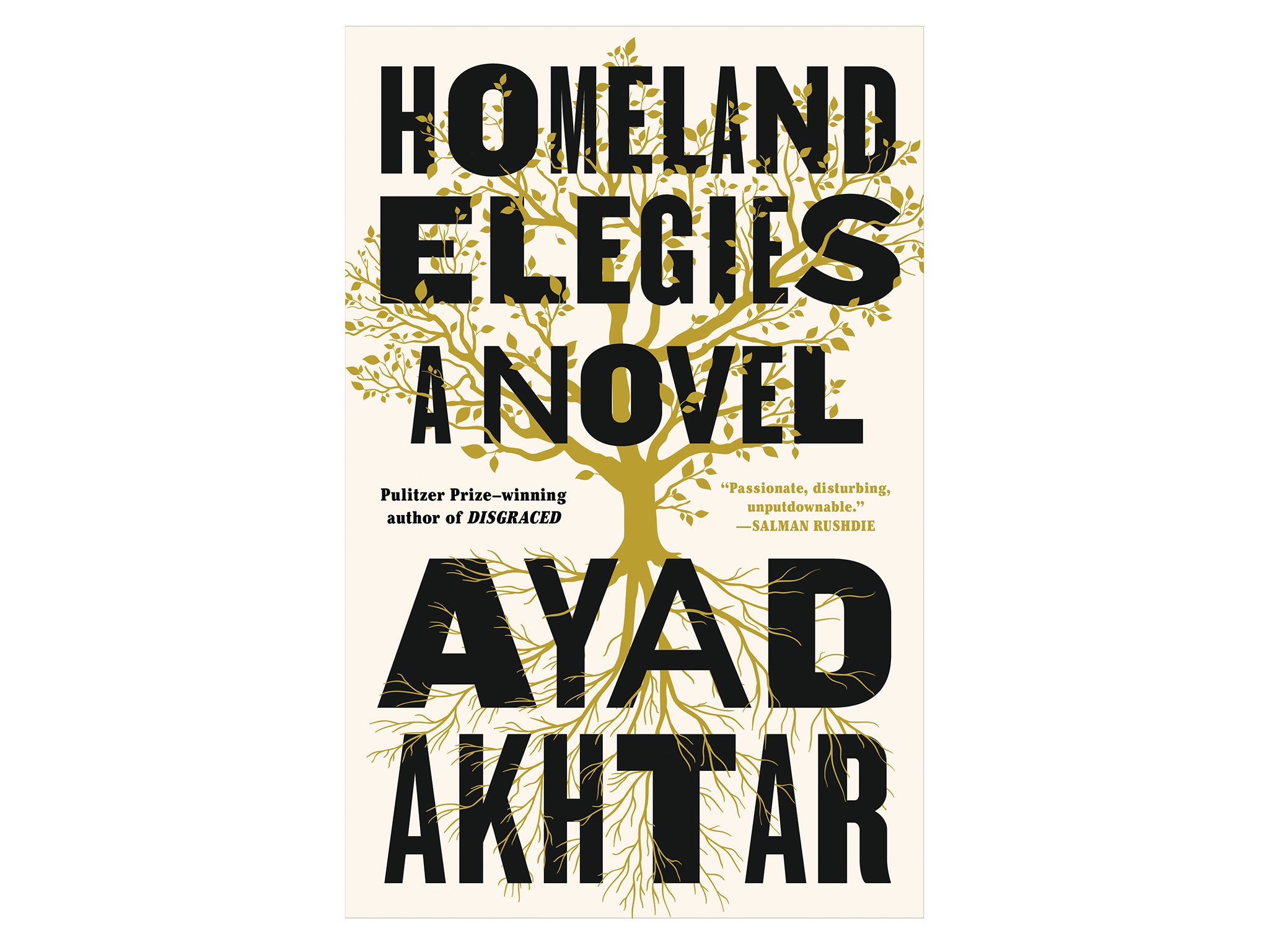 homeland-a-novel-indybest.jpg