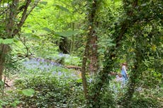 10 of London’s best long walks to try