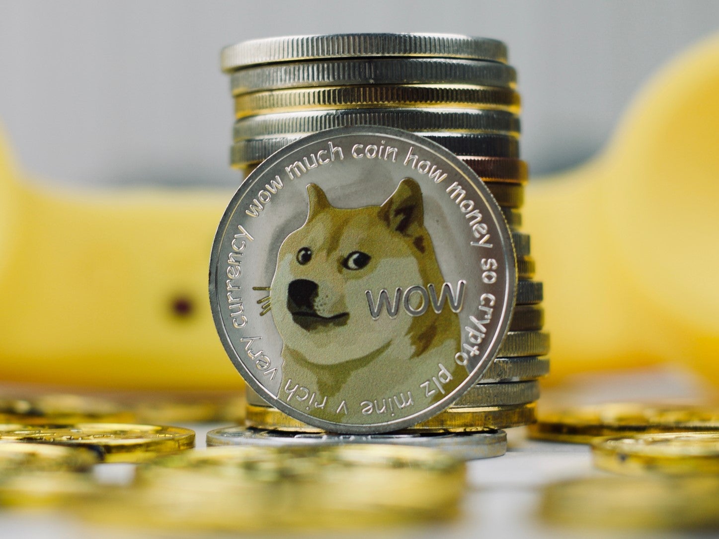 Elon Musk mentioned Dogecoin on Twitter, causing its price to surge