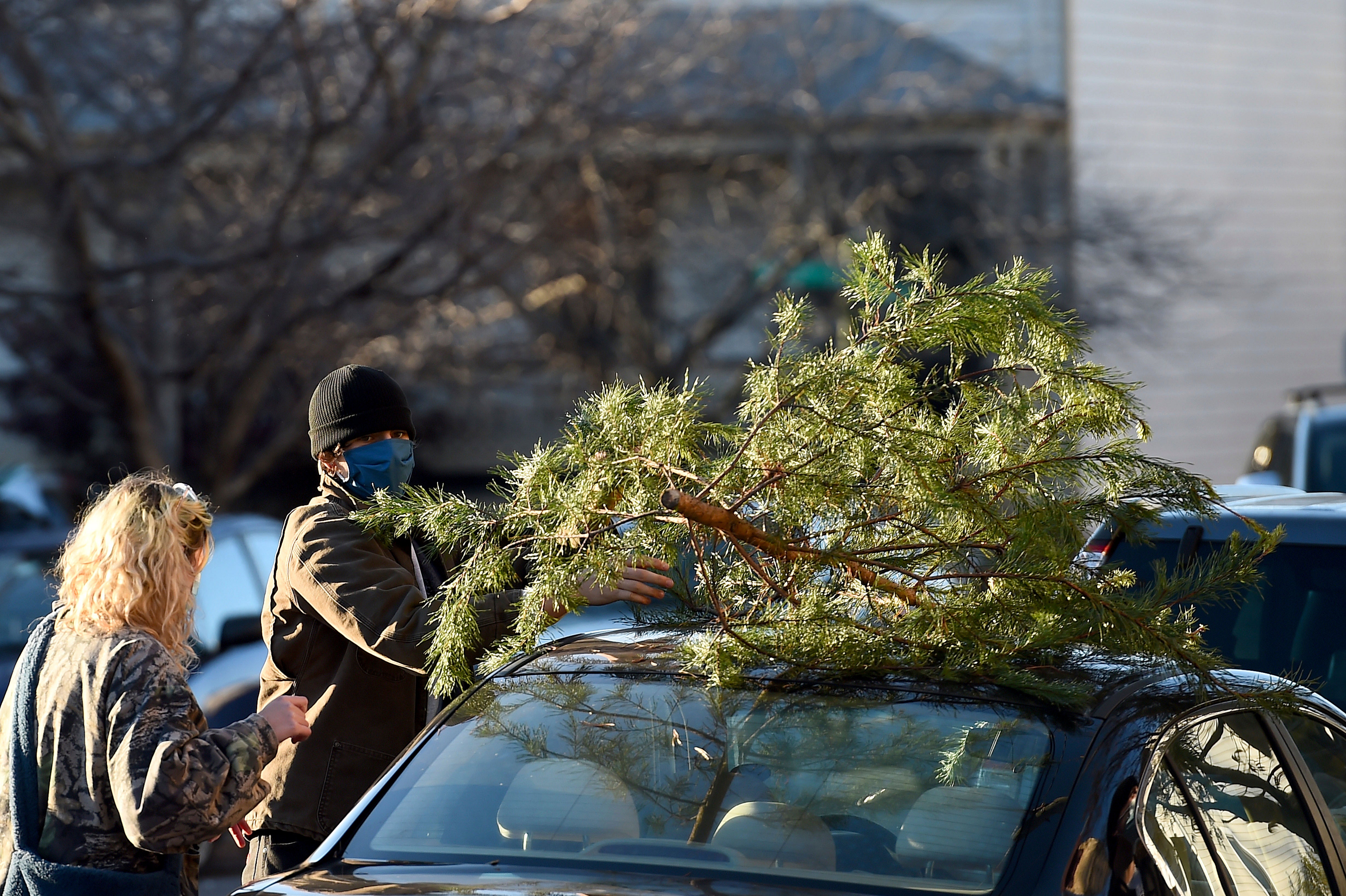 One Good Thing-Charlie Brown Christmas Trees