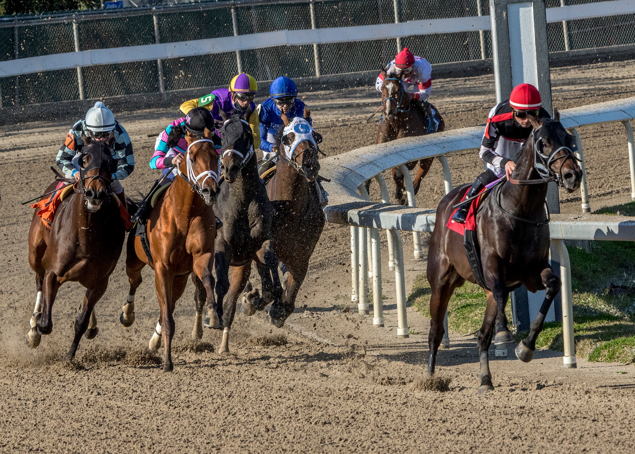 Fair Grounds Horse Racing