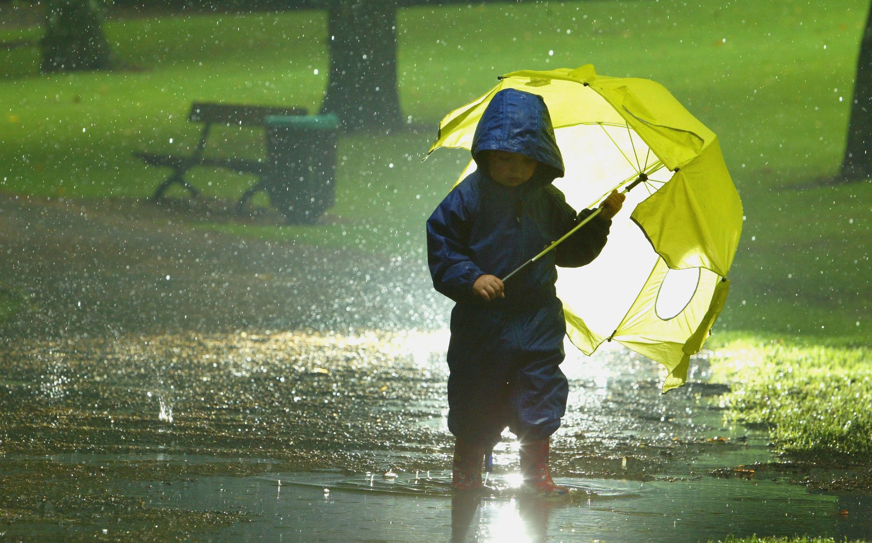 Some areas could see 70mm of rain&nbsp;