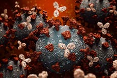 UK trial scores another win against Covid as study shows benefit of antibody treatment in sickest patients