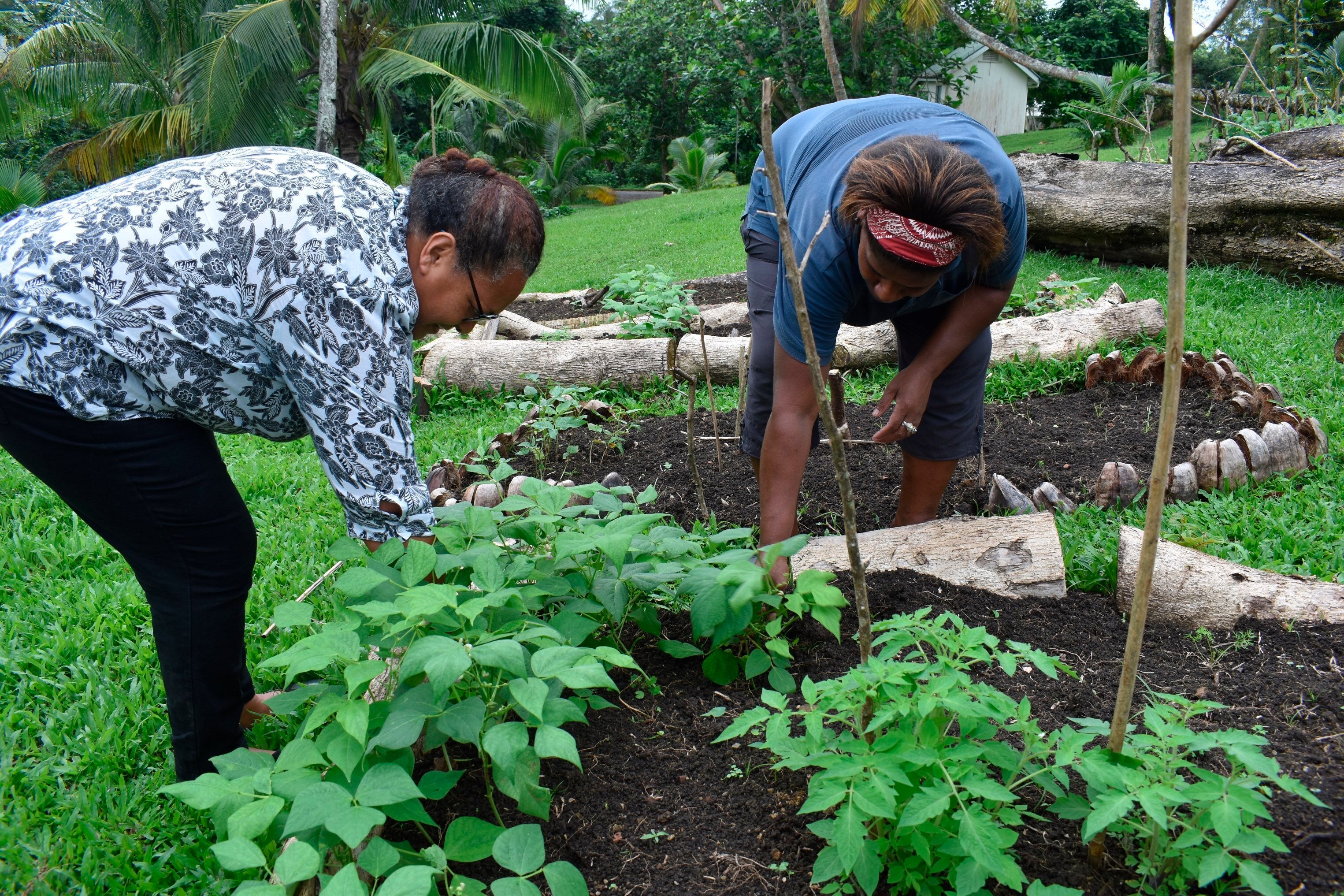 Virus Outbreak Pacific Islands Food