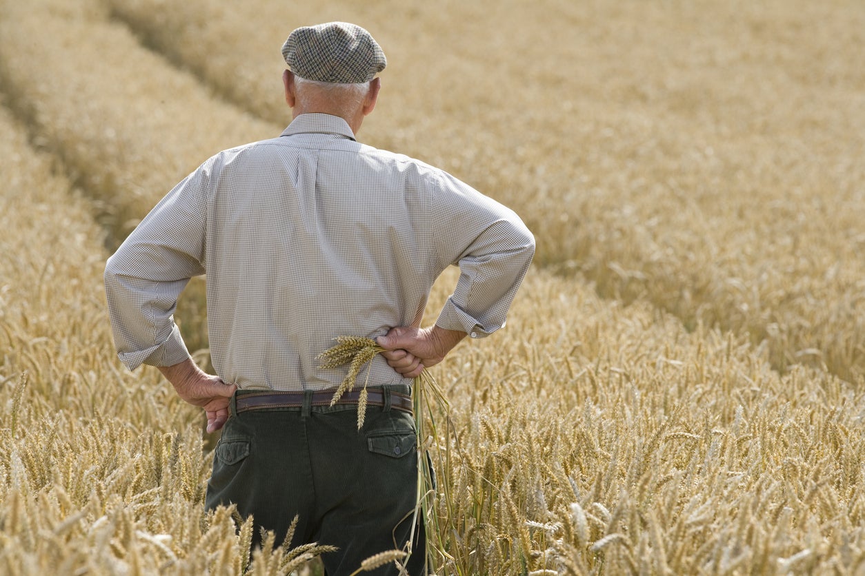 ‘There is no logical reason for the UK to be growing so little fruit and vegetables and importing so much when it has the conditions to grow a wide variety of produce’