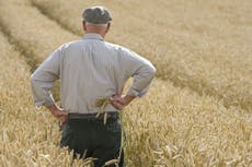 Brexit is an opportunity for farmers – we must learn from the French