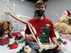 Canadian man receives his severed leg taxidermied for Christmas