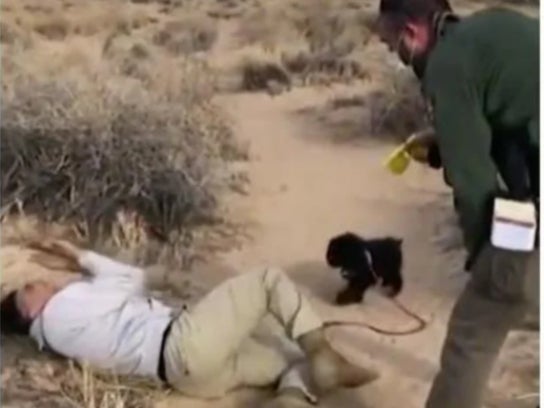 Darrell House, a Native American man, being tasered by a park ranger at Petroglyph National Monument in New Mexico after the ranger demanded he identify himself.