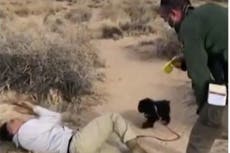 Native American man ‘tasered by park ranger’ after stepping off a trail in New Mexico