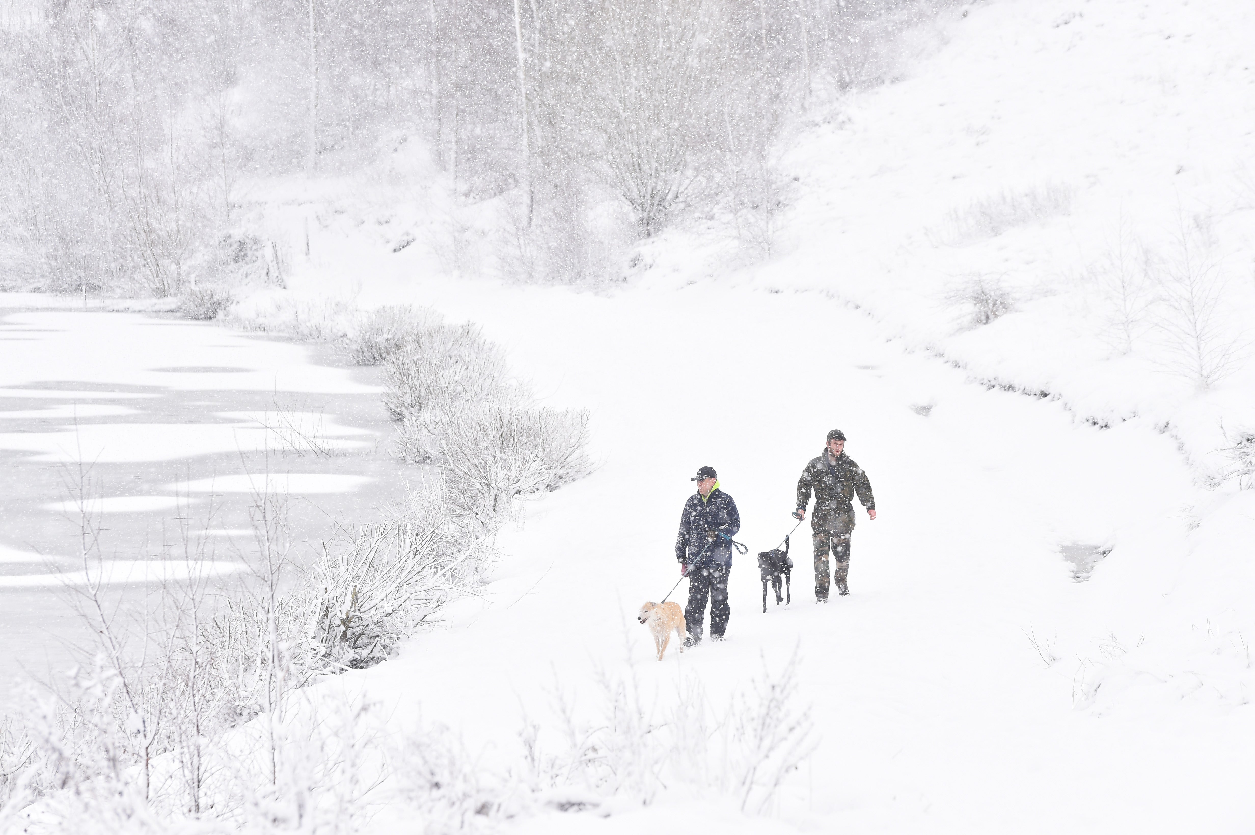 People walk their dogs around Silverdale Country Park in Newcastle-Under-Lyme