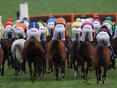 Cheltenham’s New Year’s Day race meeting abandoned