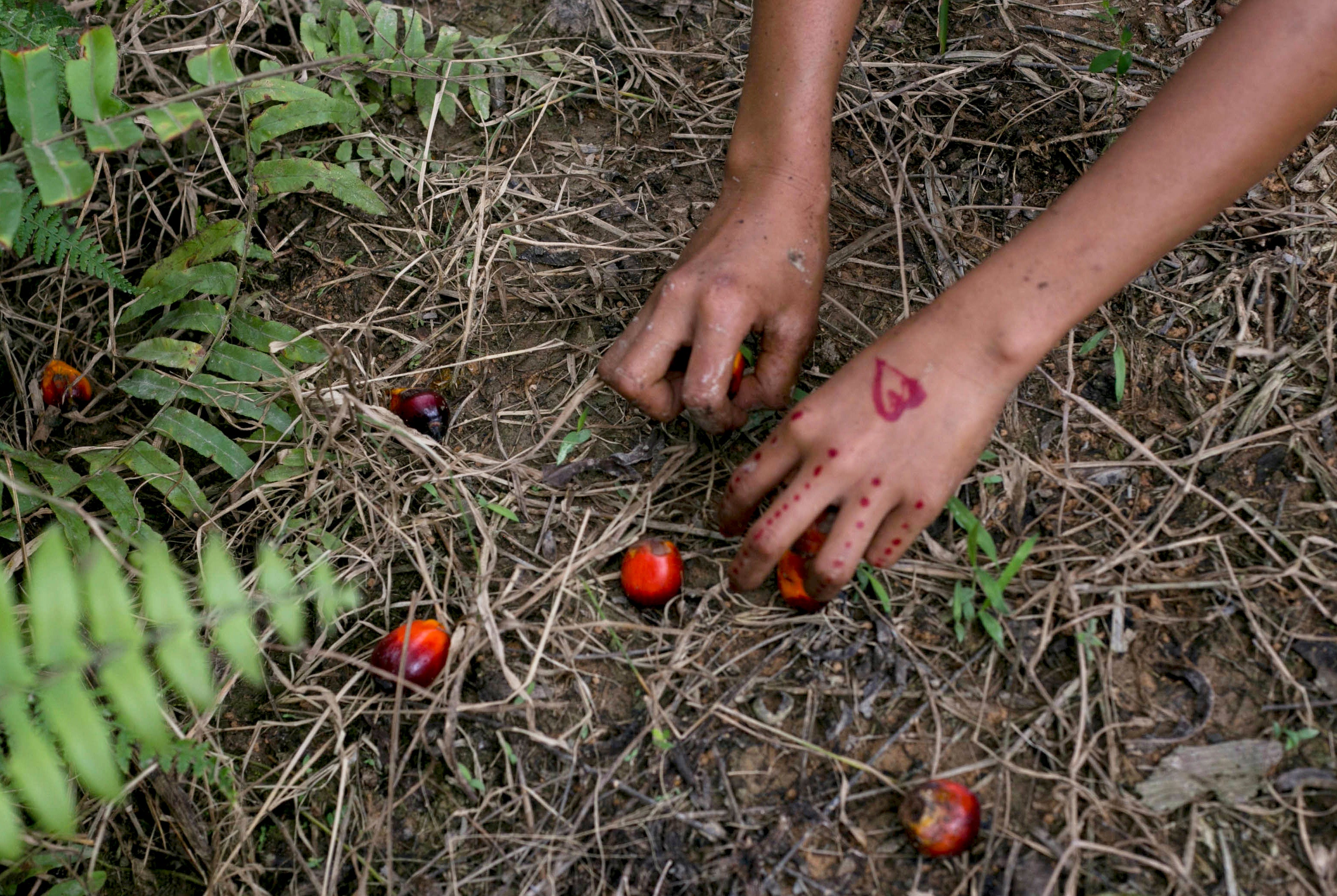 Fruits of Labor Girl Scouts Reaction