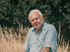 David Attenborough’s New Year’s message to begin 2021