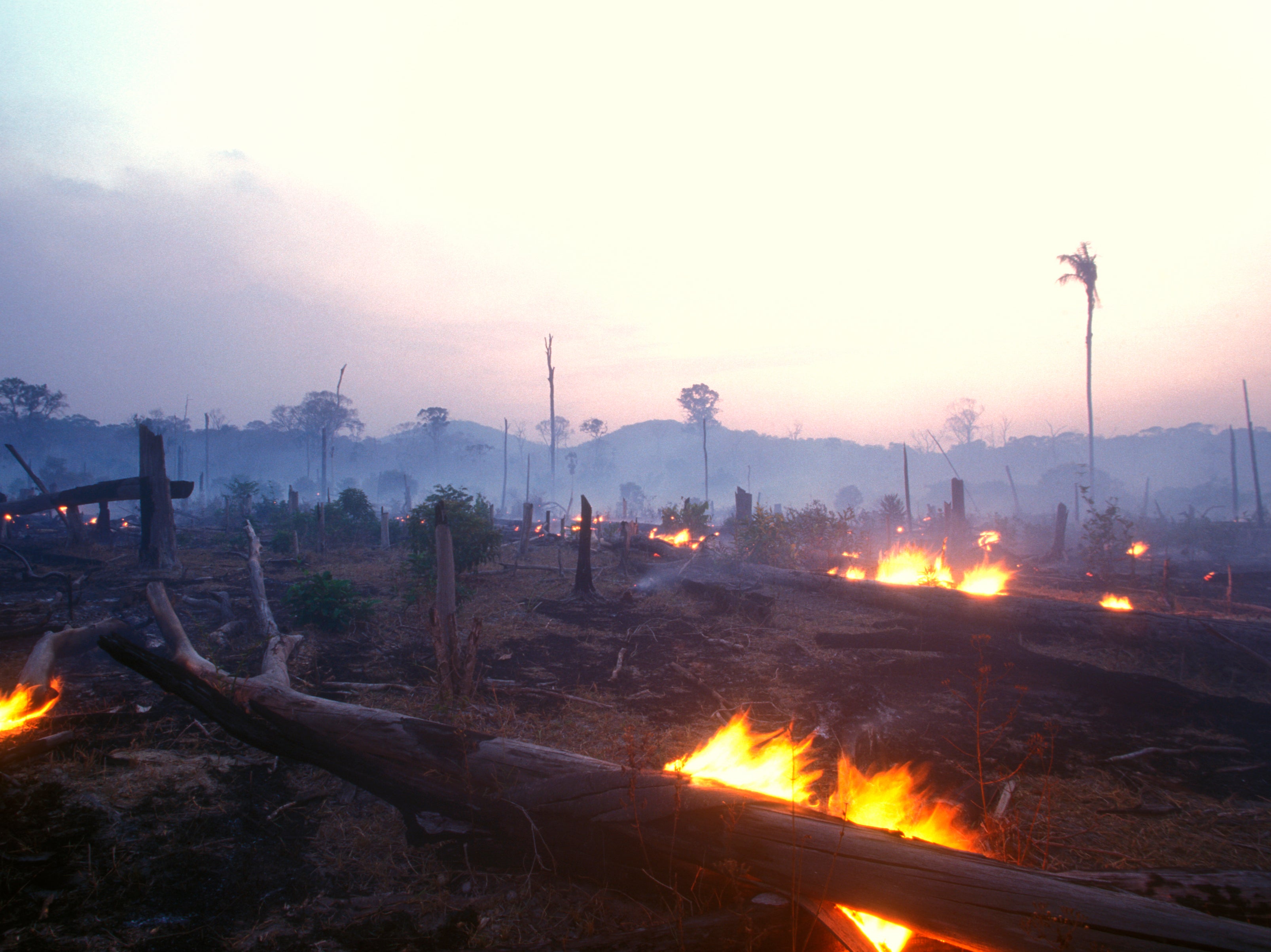 A burning wasteland in what used to be part of the Amazon rainforest