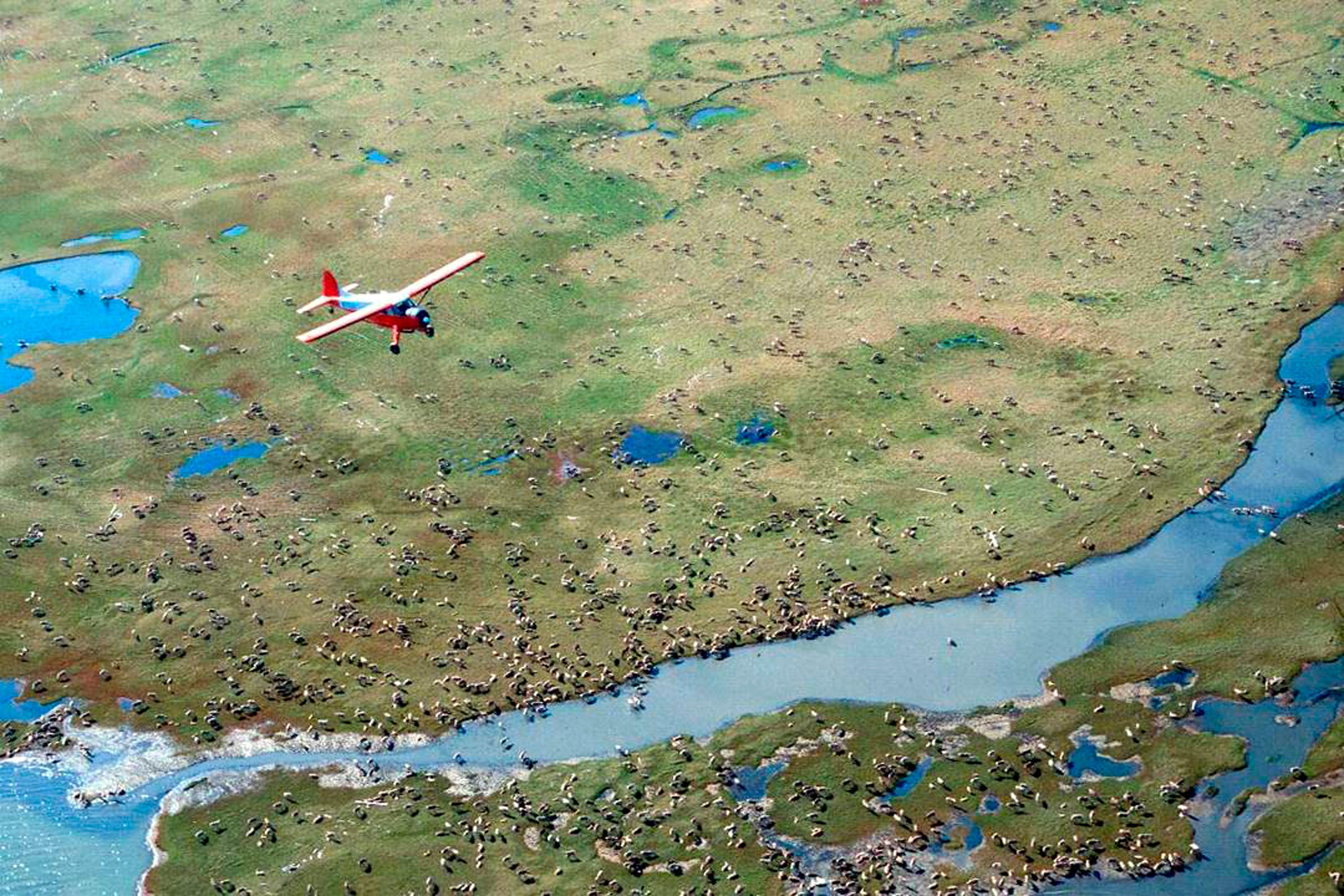 Arctic Refuge Drilling