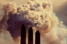 Climate crisis: What is carbon capture and how does it work?