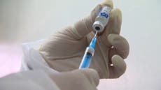 I took Russia’s Sputnik vaccine - but is it safe?