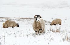 UK weather: Biting cold with patches of wintry showers