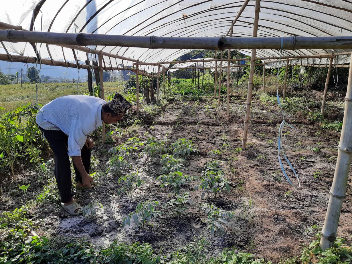 The provincial government launched a smart agriculture programme that helps irrigate the land using hydro-electric power