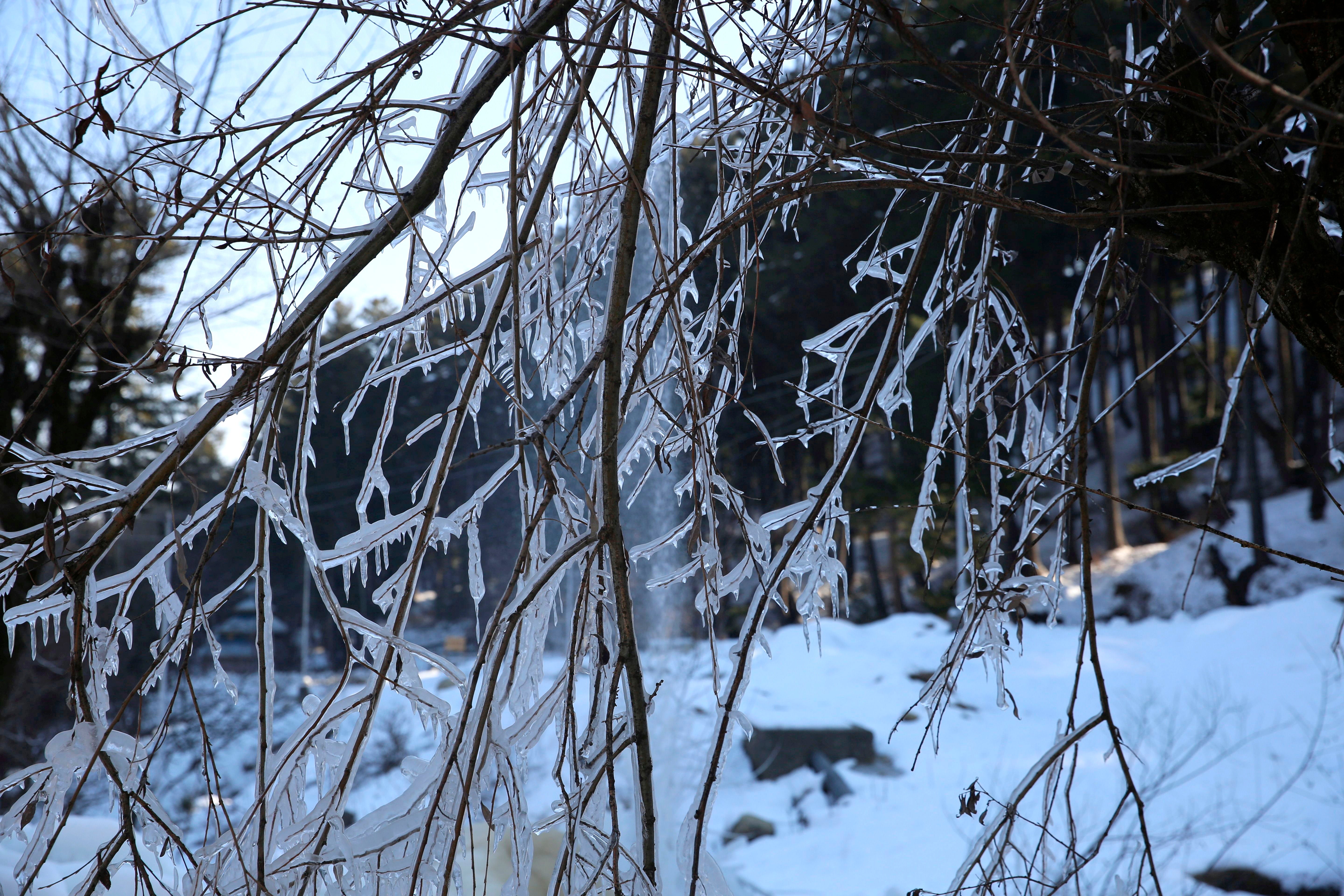 Hundreds of individual strands of frozen water are held together in what looks like candy floss