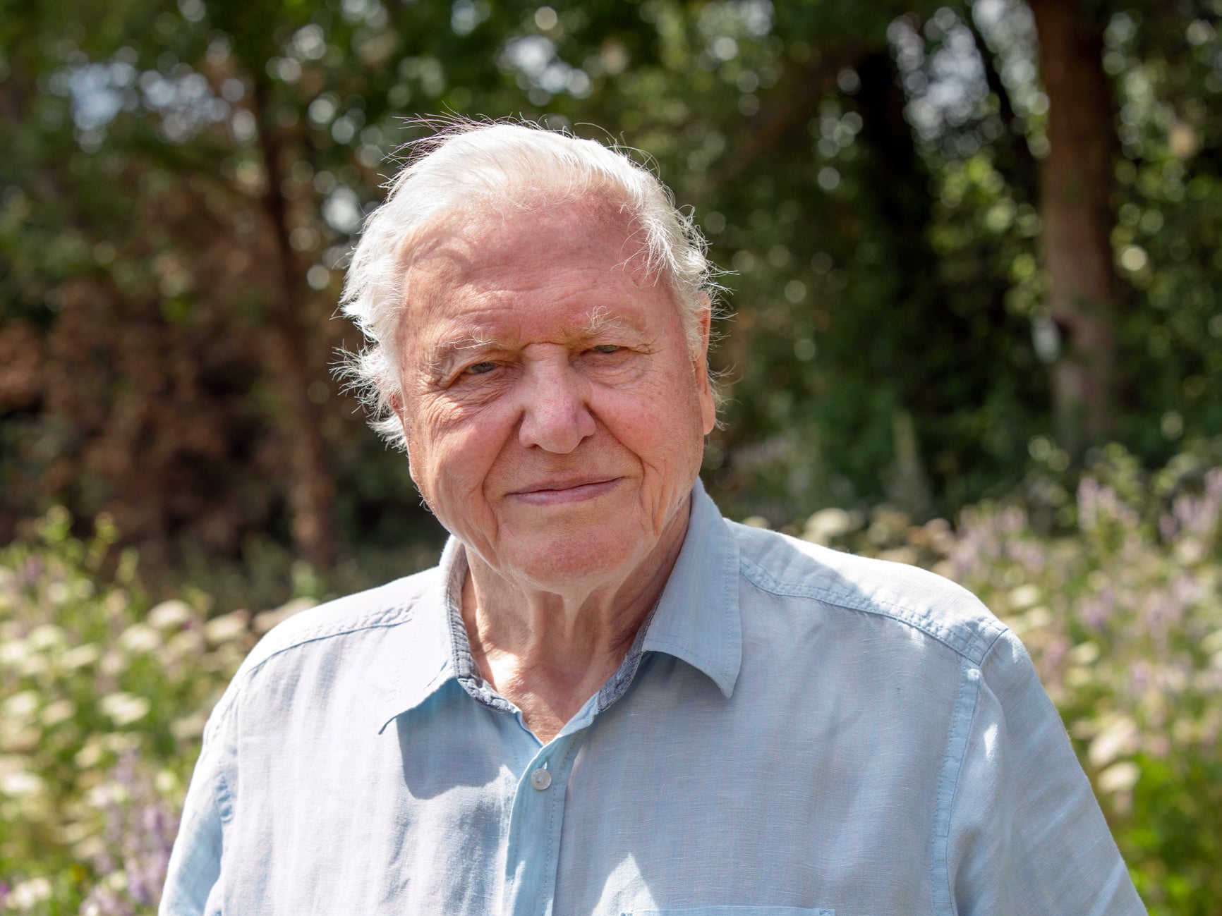 David Attenborough explains why he won’t return to Instagram