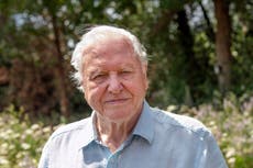 Climate crisis ‘biggest security threat humans have faced’, Sir David Attenborough tells UN