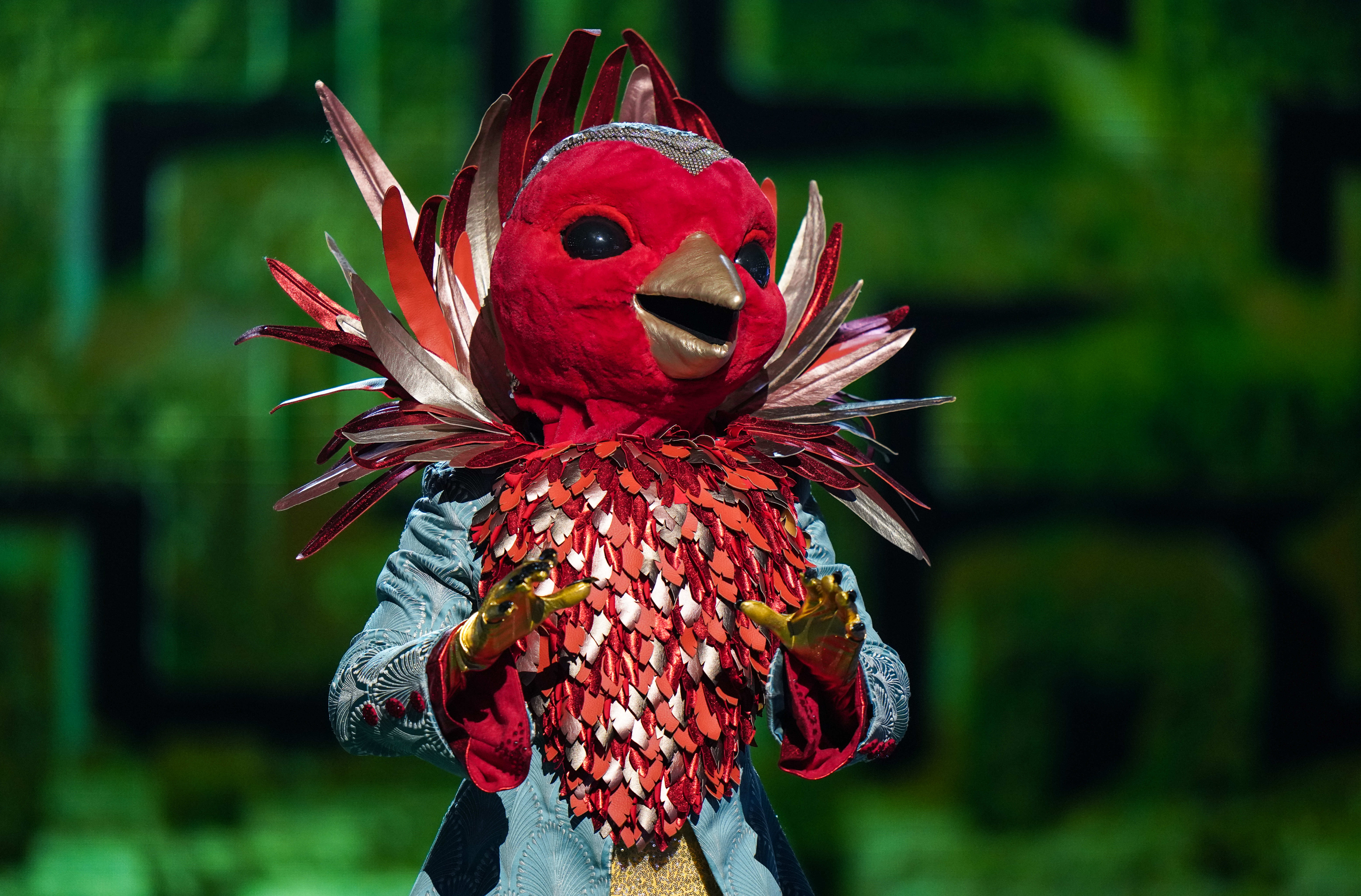Who is Robin on The Masked Singer?