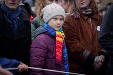 Greta Thunberg attacks Boris Johnson’s ‘so-called green industrial revolution’ over bee-killing pesticide