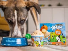 Ben & Jerry’s launches ice cream for dogs